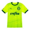 Virallinen Fanipaita Palmeiras Kolmas Pelipaita 2023-24 - Miesten